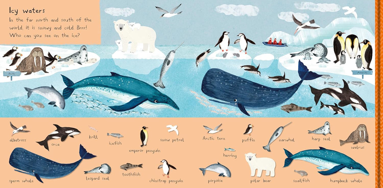There Are 101 Sea Creatures in this book