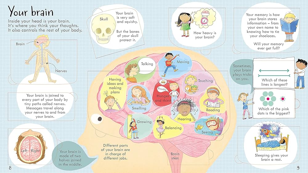 Usborne Lift-the-Flap: Look inside Your Body