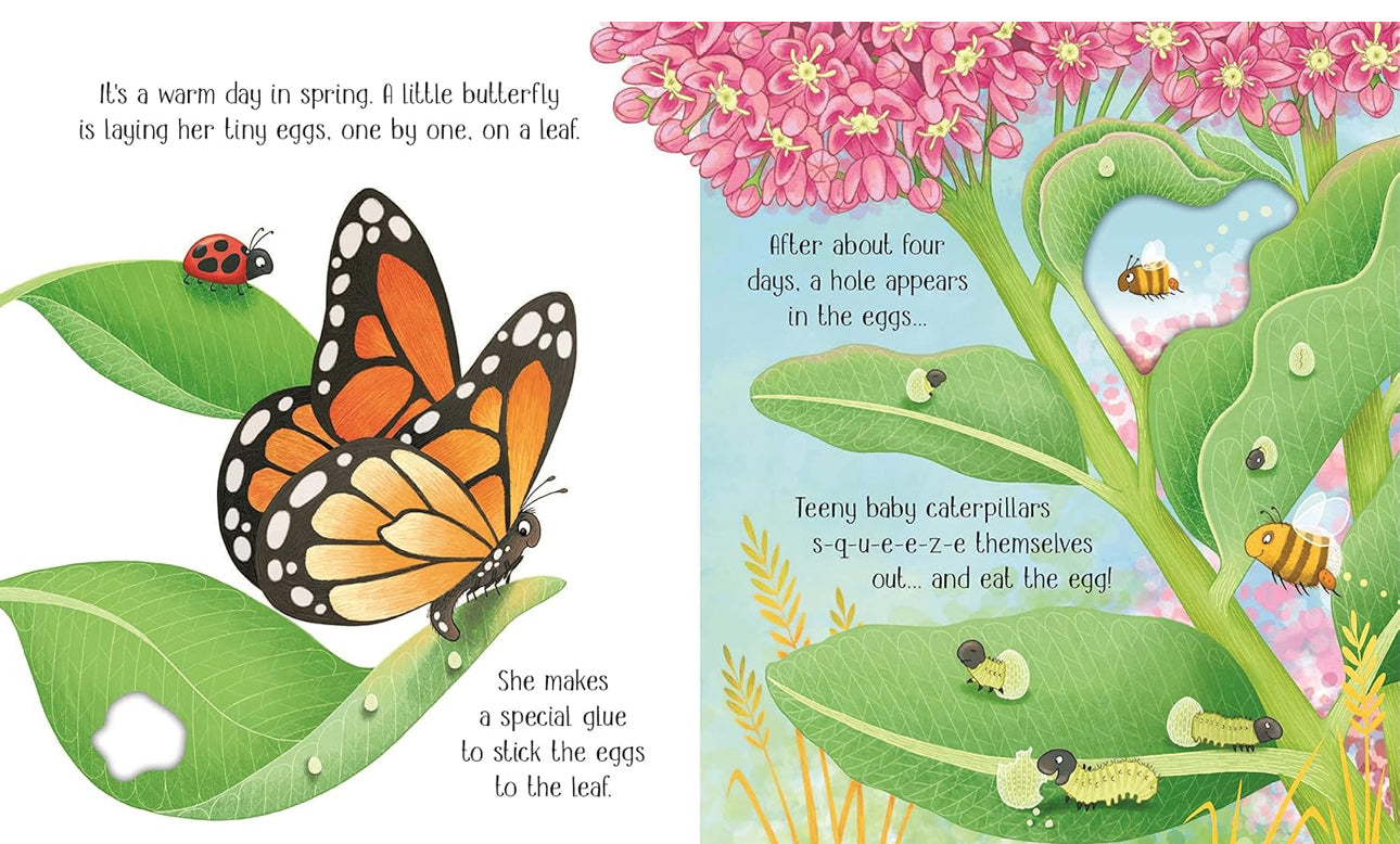 Usborne Life Cycles: One Little Butterfly (HB)