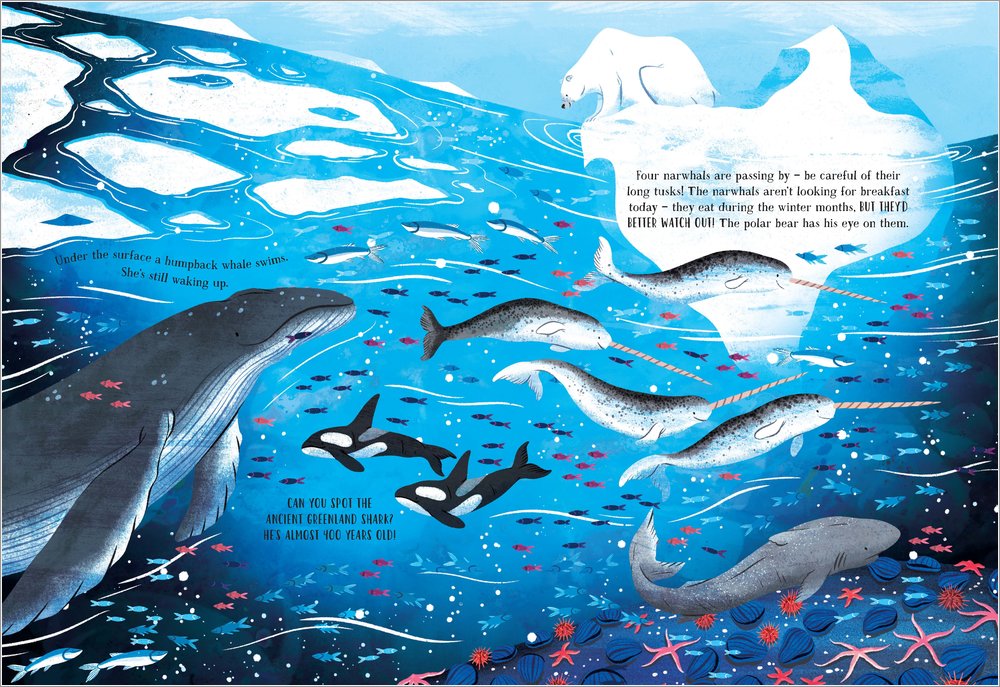 The Secret Ocean: A spotting book by Amy Grimes