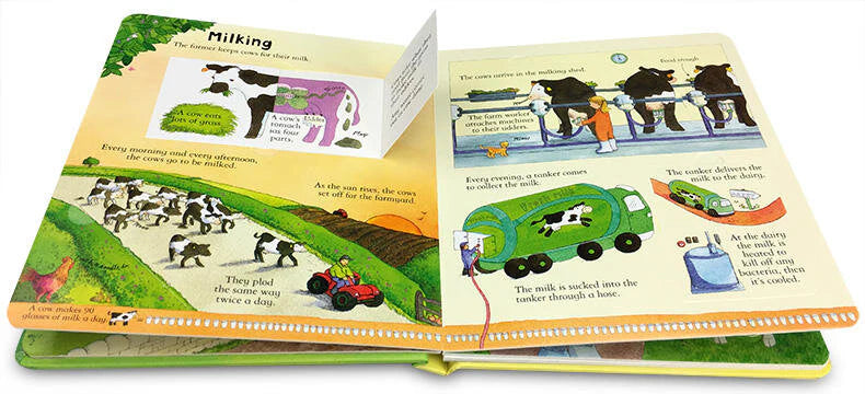 Usborne Lift-the-Flap: Look inside a Farm