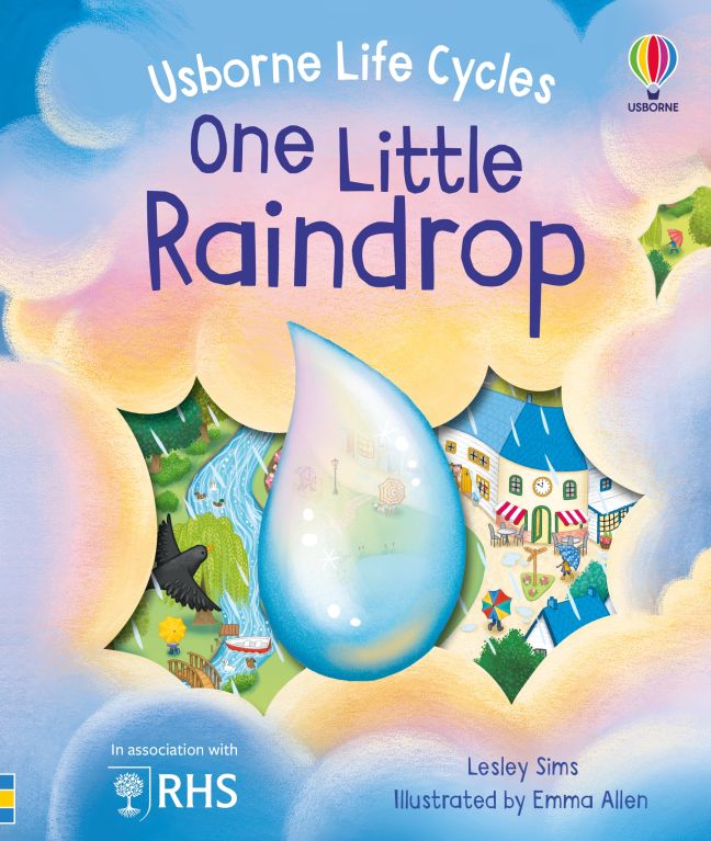 Usborne Life Cycles: One Little Raindrop (HB)