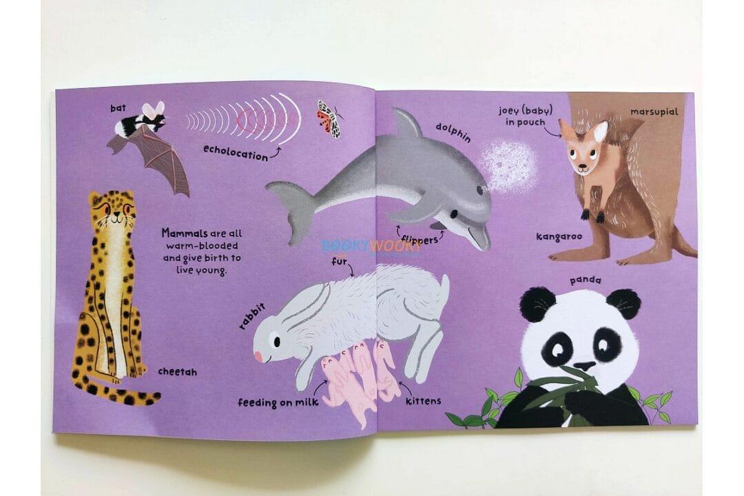 Big Words For Little Experts: Animals