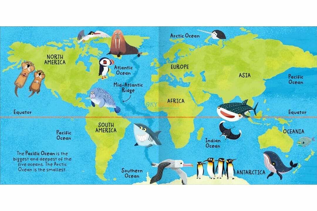 Big Words For Little Experts: Oceans