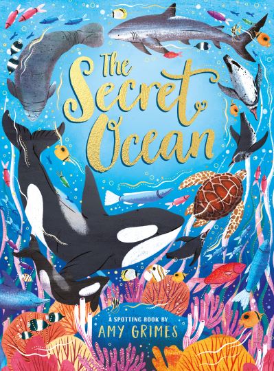 The Secret Ocean: A spotting book by Amy Grimes