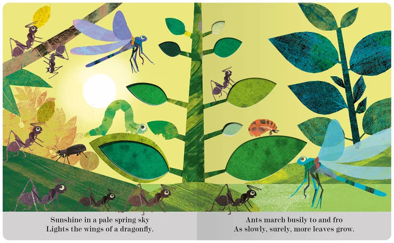 Bugs by Patricia Hegarty