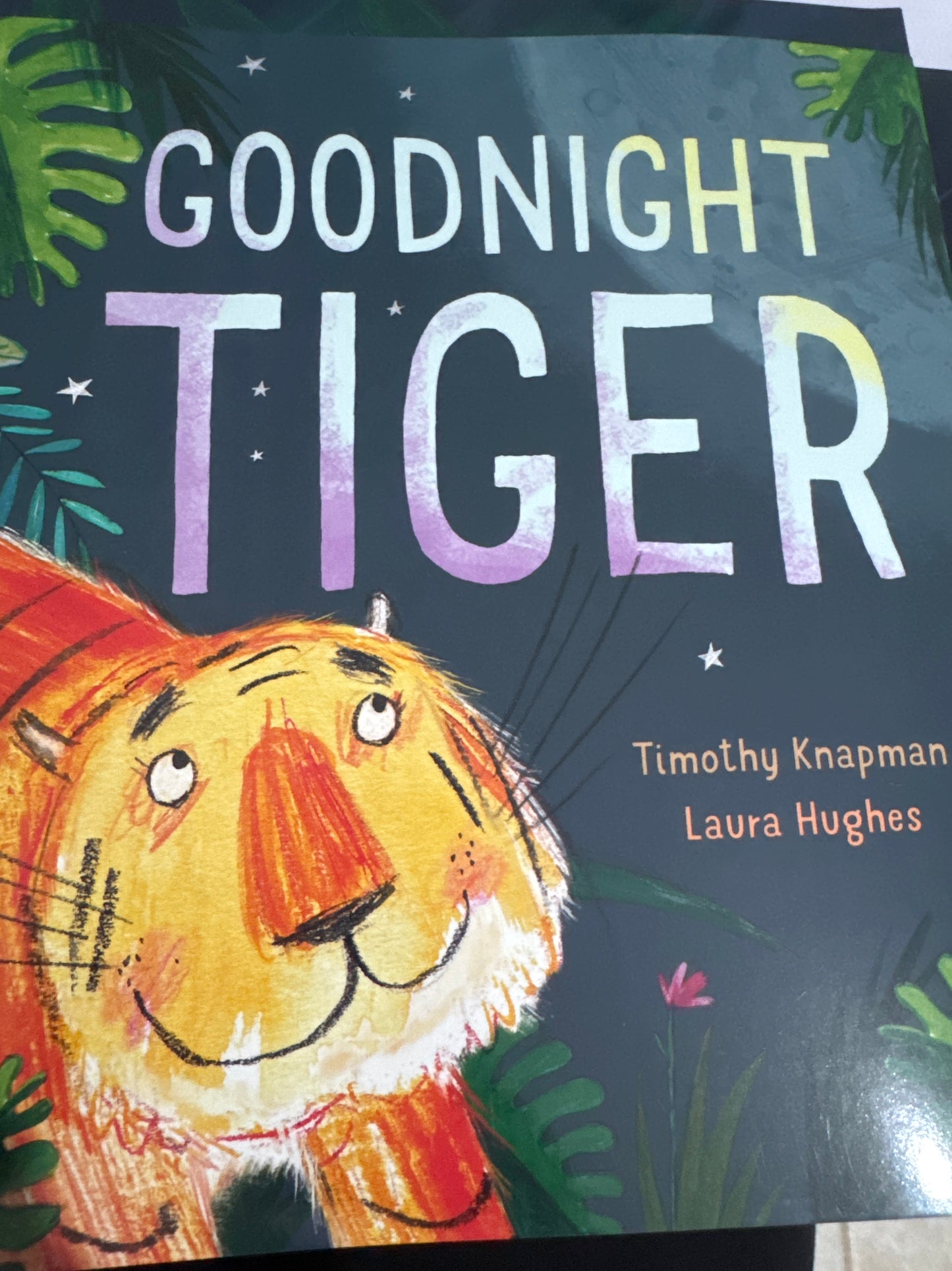 Good night Tiger by Timothy Knapman
