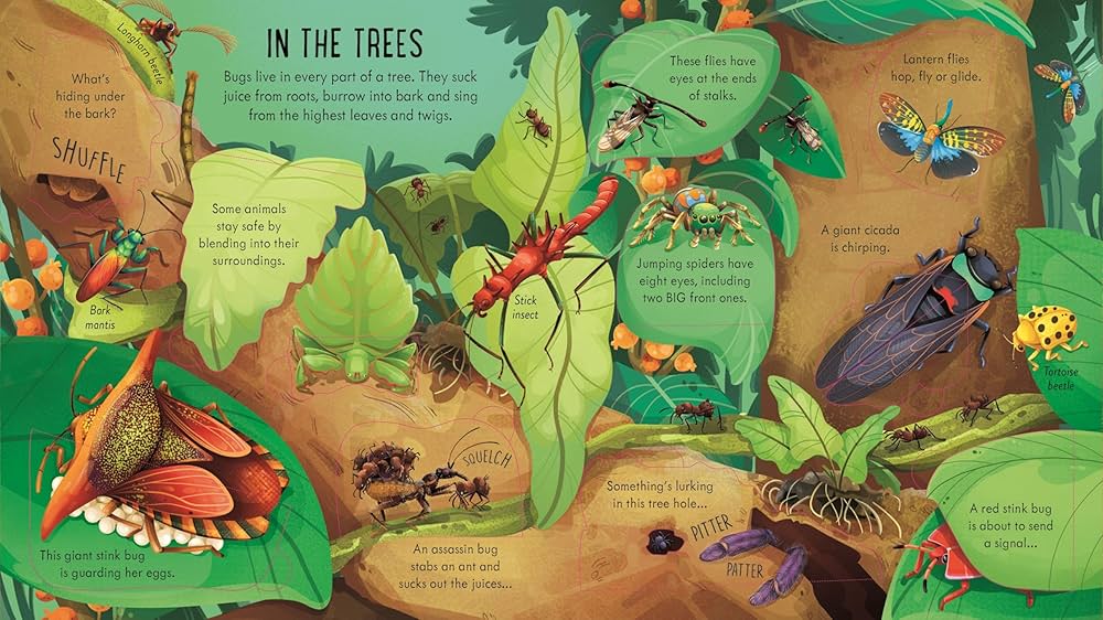 Usborne: Look Inside Bug World