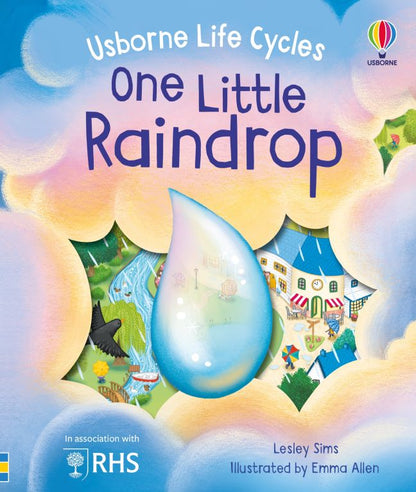 Usborne Life Cycles: One Little Raindrop (HB)