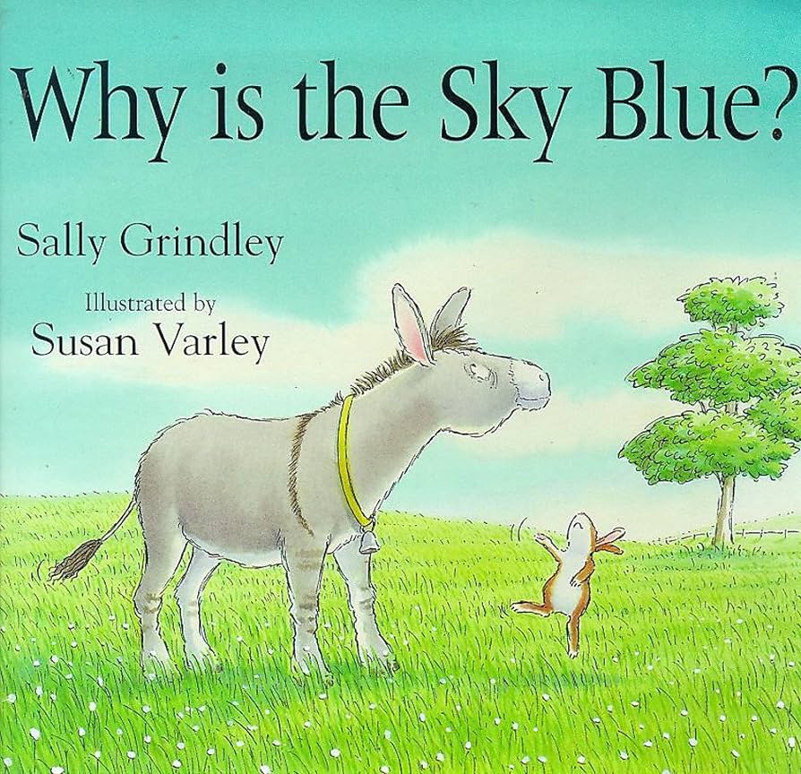 Why is the sky blue by Sally Grindley